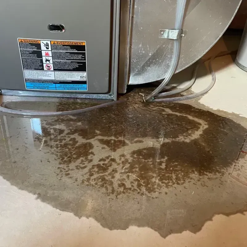 Appliance Leak Cleanup in Elk River, MN